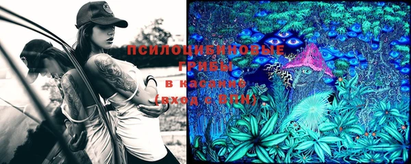 крисы Бронницы