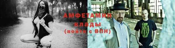 молекула духа Пересвет