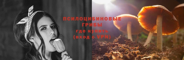 гидра Бугульма