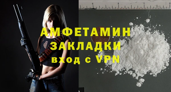 крисы Бронницы