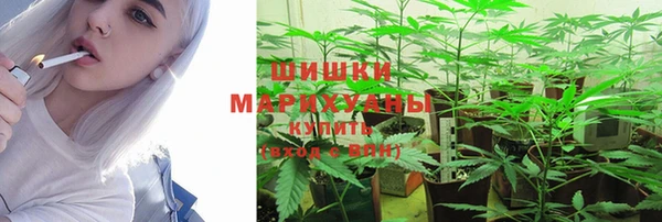 гидра Бугульма
